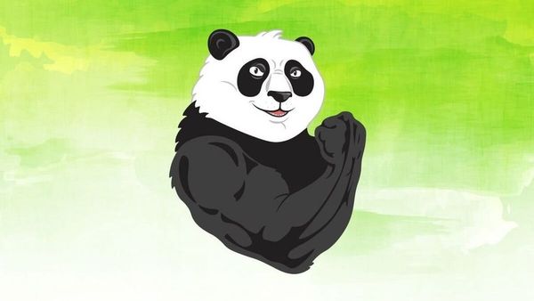 Panda-Meetup в Саратове!